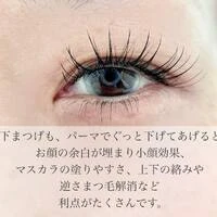 画像428