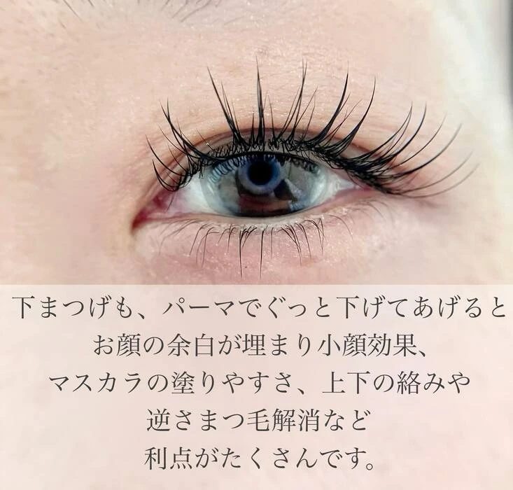 画像428