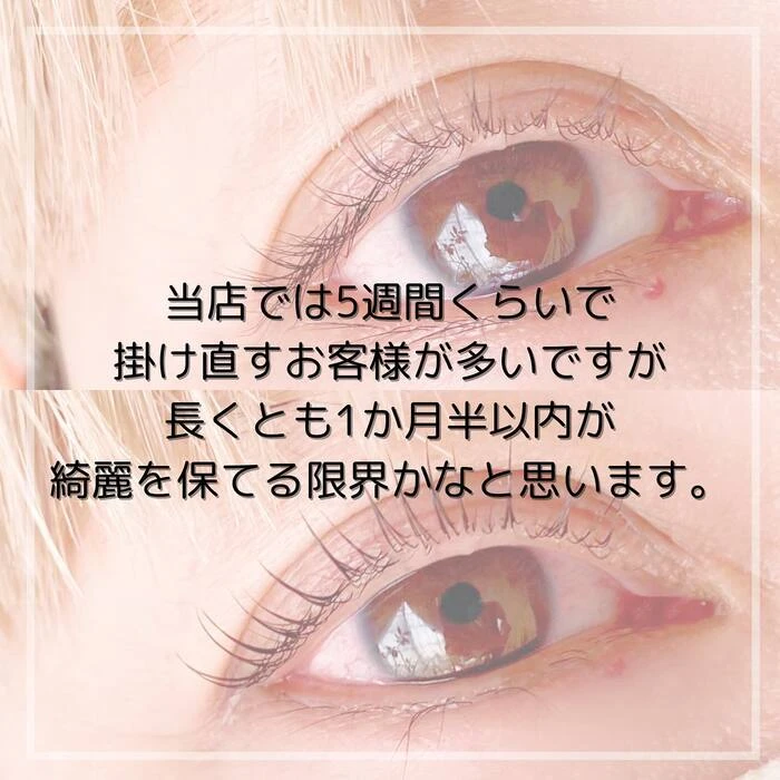 画像454