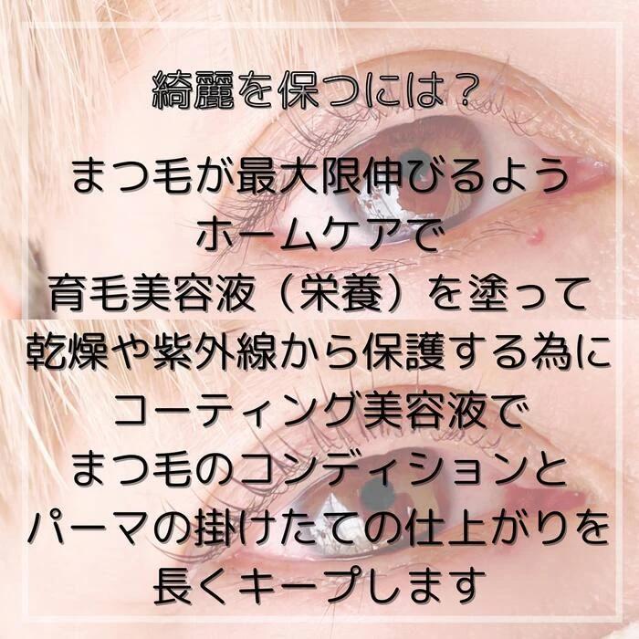 画像455