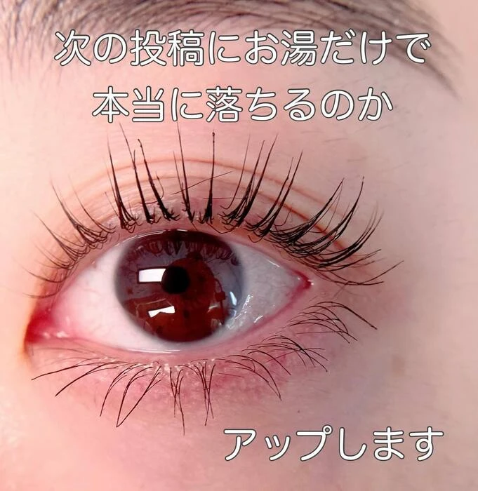 画像486