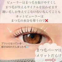 画像527