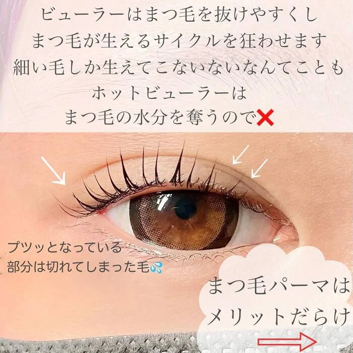 画像527