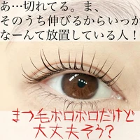 画像815