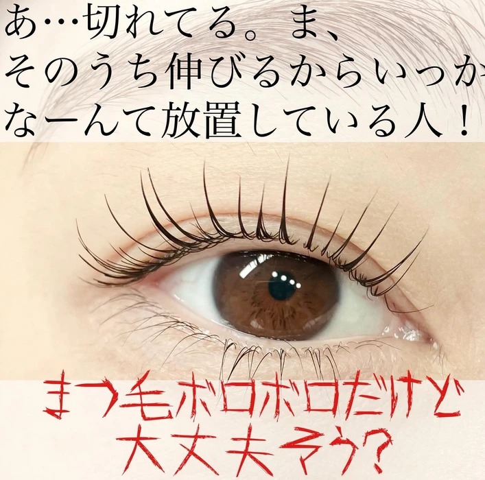 画像815