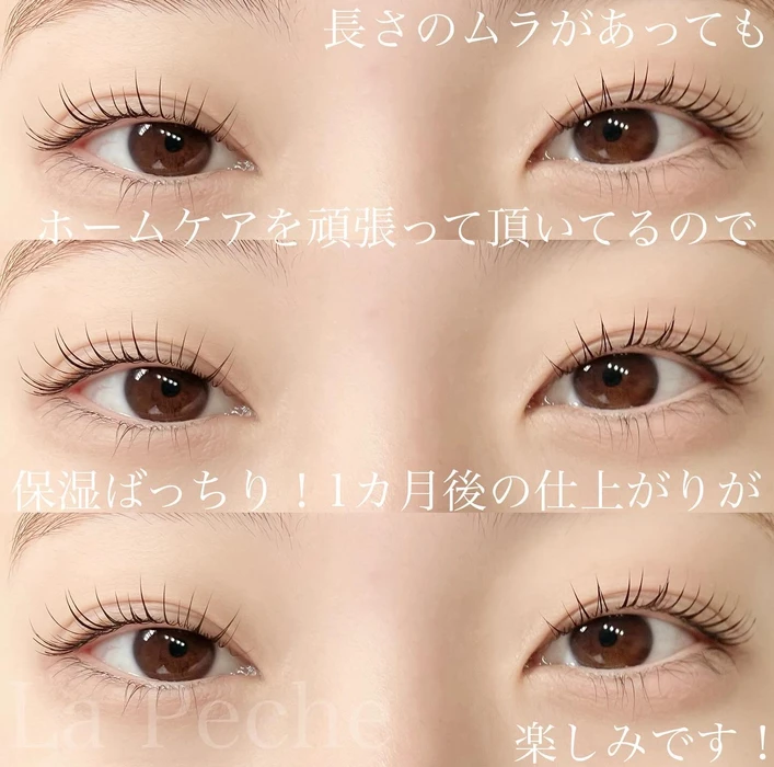 画像818