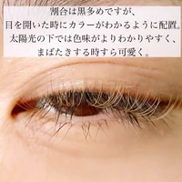 画像861