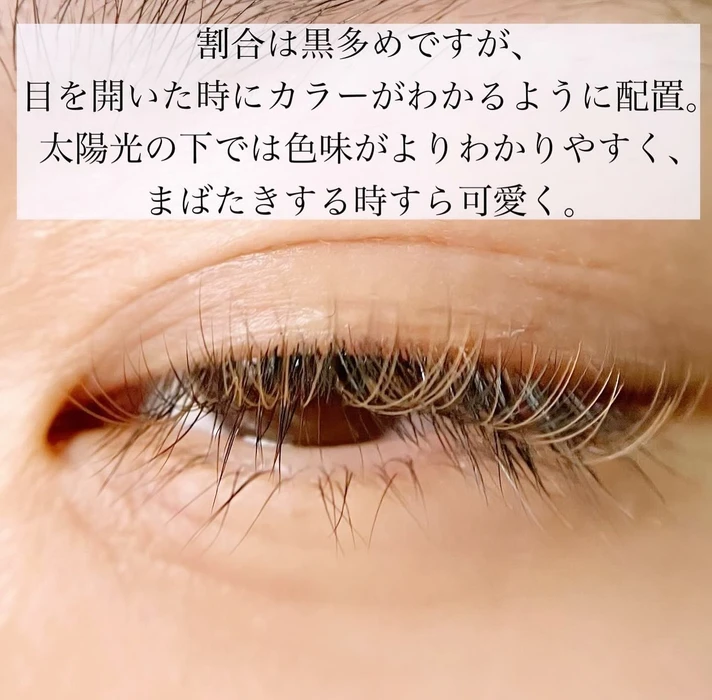 画像861