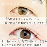 画像885